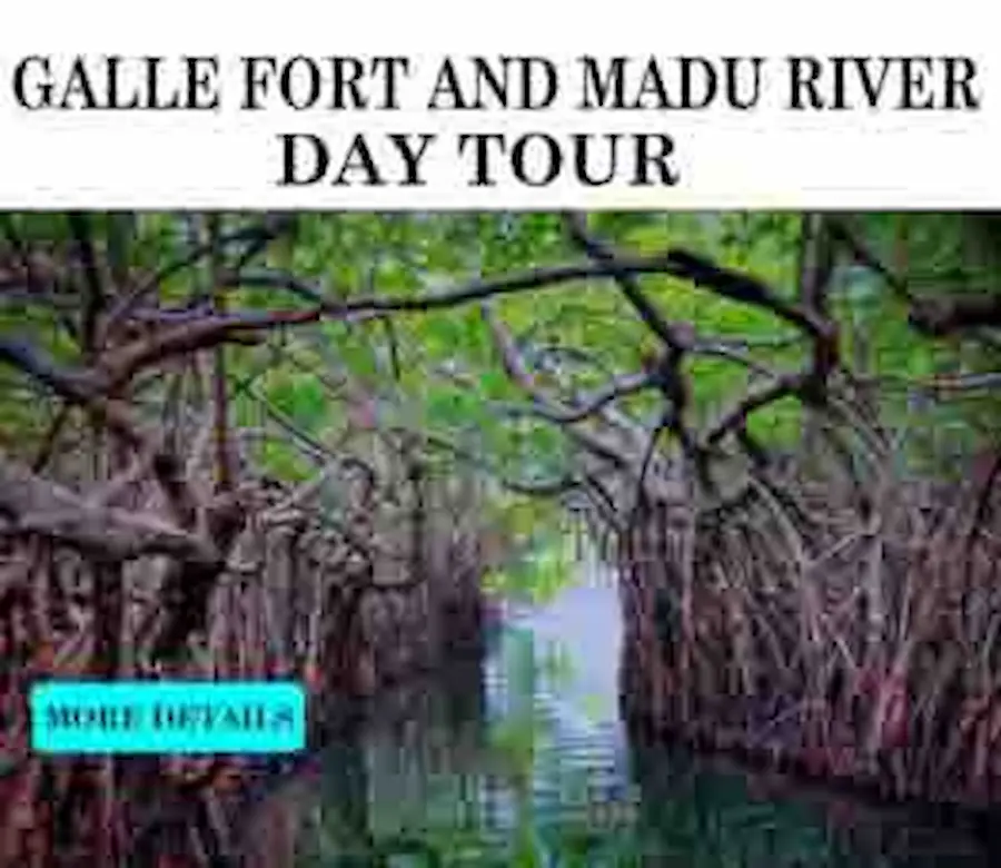 galle-day-tour